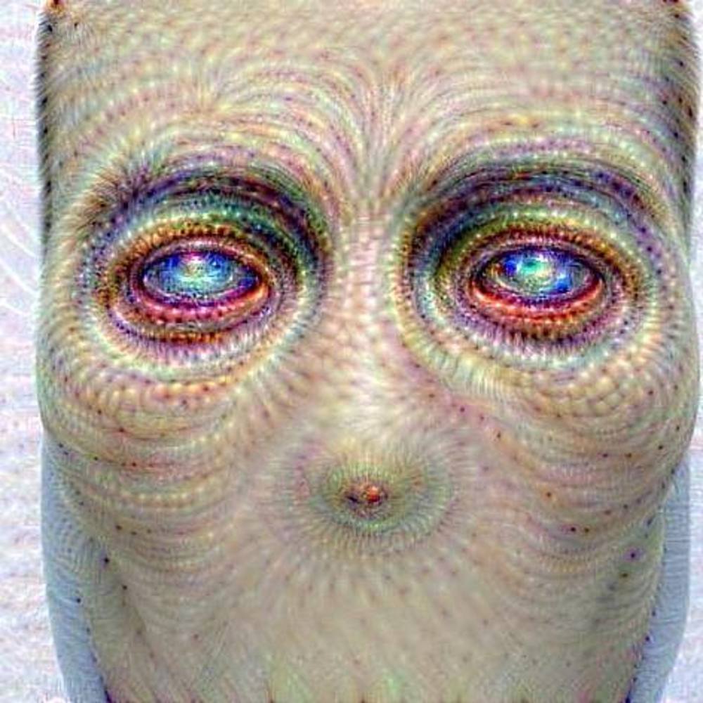 Meet your Posher, Tim